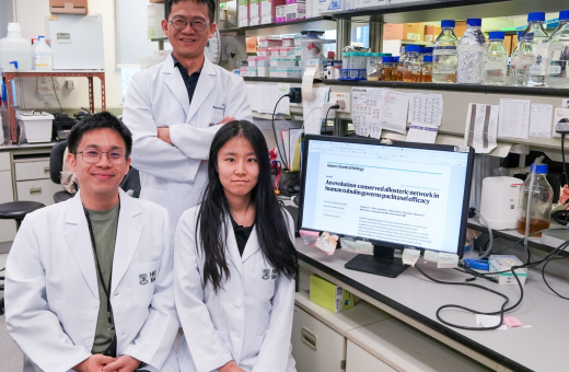 HKUMed uncovers key mechanism of cancer drug resistance